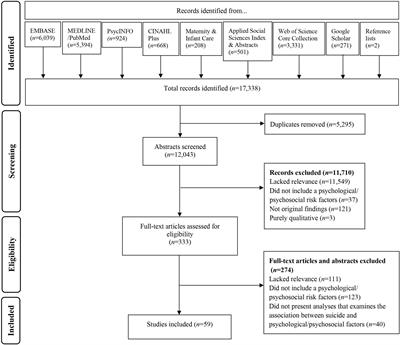 Maternal Suicide Ideation and Behaviour During Pregnancy and the First Postpartum Year: A Systematic Review of Psychological and Psychosocial Risk Factors